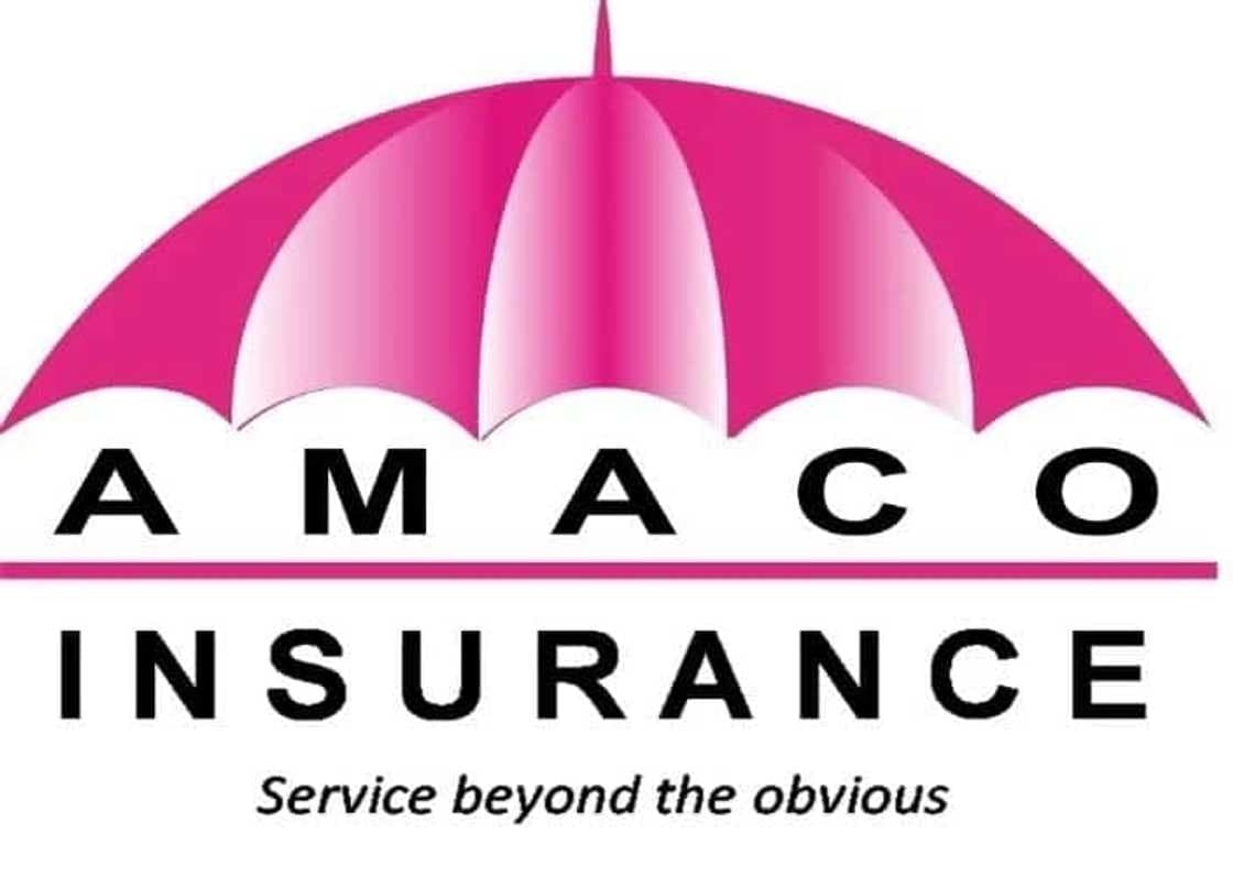 Digital, Brand & Customer Experience Manager
